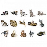 Наклейка декор.CATS SPEAK MEOW набор 30шт арт.MHD-MYMY004