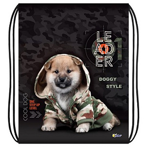 Рюкзаки, сумки, портфели