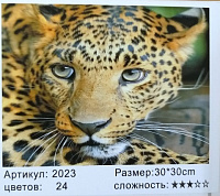 Алмазная мозаика  30*30см ЛЕОПАРД  арт.МС-5458/2023