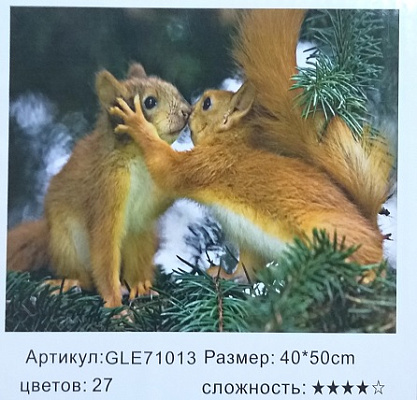 Алмазная мозаика 50*40 БЕЛКИ  GLE71013